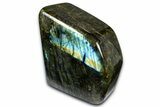 Flashy Free-Standing Polished Labradorite - Madagascar #372810-1